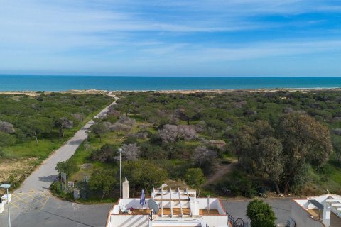 Villa in vendita a Guardamar del Segura, Alicante, Spagna 4 camere da letto,  N° 161157 - foto 2