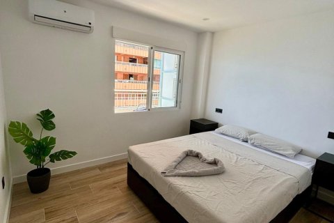 Dzīvoklis pārdošanā Torrevieja, Alicante, Spānijā 3 istabas, 95 m2 Nr. 149776 - attēls 15