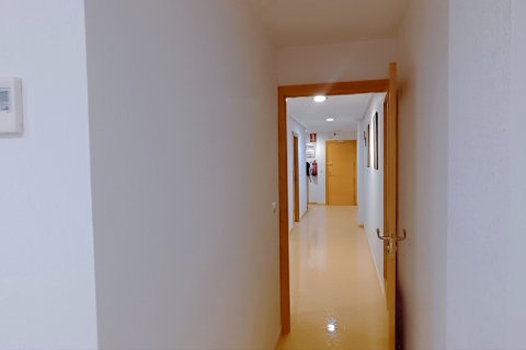 Продажа квартиры в Эльче, Аликанте, Испания 3 спальни, 132м2 №195826 - фото 8