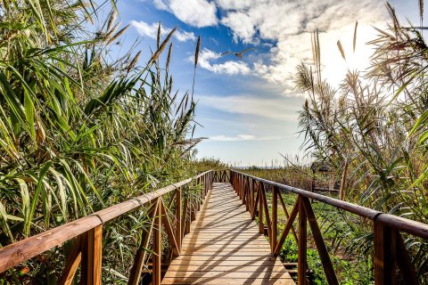 Apartament w Guardamar del Segura, Alicante, Hiszpania 2 sypialnie, 75 mkw. nr 154760 – zdjęcie 5