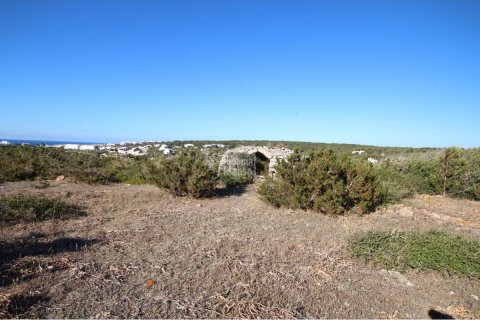 Tontti myytävänä Ciutadella De Menorca, Menorca, Espanja ,  No. 183227 - kuva 11