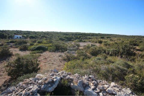 Tontti myytävänä Ciutadella De Menorca, Menorca, Espanja ,  No. 183227 - kuva 4