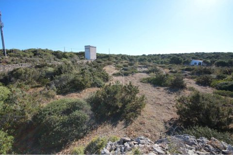 Tontti myytävänä Ciutadella De Menorca, Menorca, Espanja ,  No. 183227 - kuva 5