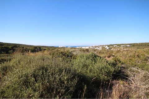 Tontti myytävänä Ciutadella De Menorca, Menorca, Espanja ,  No. 183227 - kuva 2