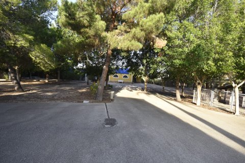 Finca for sale La Matanza, Alicante, Spain 6 bedrooms, 430 sq.m. No. 116344 - photo 8