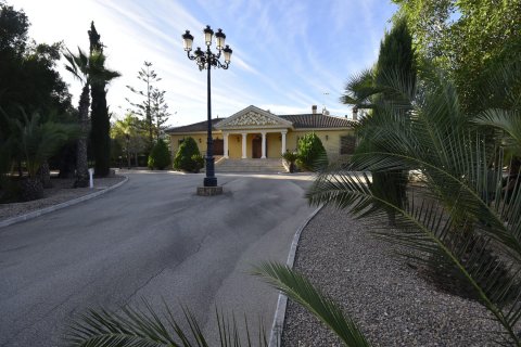 Finca for sale La Matanza, Alicante, Spain 6 bedrooms, 430 sq.m. No. 116344 - photo 2