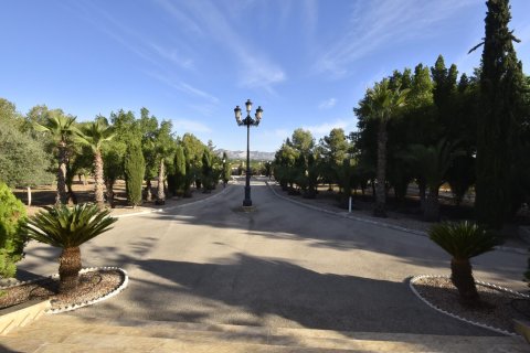 Finca for sale La Matanza, Alicante, Spain 6 bedrooms, 430 sq.m. No. 116344 - photo 19