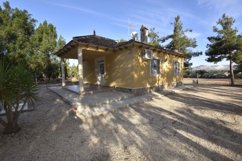 Finca for sale La Matanza, Alicante, Spain 6 bedrooms, 430 sq.m. No. 116344 - photo 12