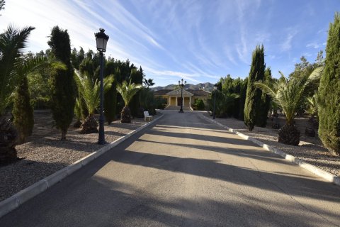Finca for sale La Matanza, Alicante, Spain 6 bedrooms, 430 sq.m. No. 116344 - photo 1