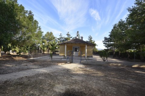 Finca for sale La Matanza, Alicante, Spain 6 bedrooms, 430 sq.m. No. 116344 - photo 11