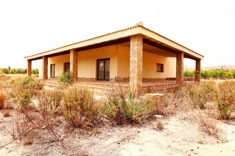 Сasa en venta en Elche, Alicante, España 7 dormitorios, 5500 m2 No. 154042 - foto 7