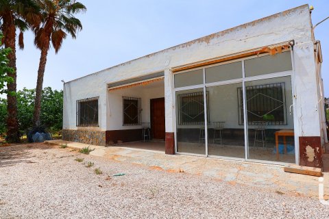 Сasa en venta en Elche, Alicante, España 7 dormitorios, 5500 m2 No. 154042 - foto 6