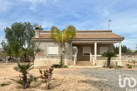 Сasa en venta en Elche, Alicante, España 7 dormitorios, 5500 m2 No. 154042 - foto 9