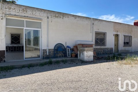 Сasa en venta en Elche, Alicante, España 7 dormitorios, 5500 m2 No. 154042 - foto 10