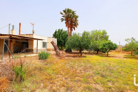 Сasa en venta en Elche, Alicante, España 7 dormitorios, 5500 m2 No. 154042 - foto 19
