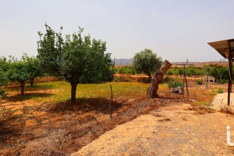 Сasa en venta en Elche, Alicante, España 7 dormitorios, 5500 m2 No. 154042 - foto 17