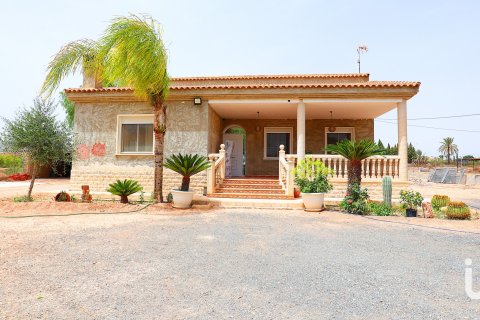 Сasa en venta en Elche, Alicante, España 7 dormitorios, 5500 m2 No. 154042 - foto 3