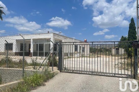 Сasa en venta en Elche, Alicante, España 7 dormitorios, 5500 m2 No. 154042 - foto 20