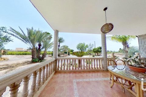 Сasa en venta en Elche, Alicante, España 7 dormitorios, 5500 m2 No. 154042 - foto 13