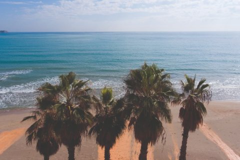 Dzīvoklis pārdošanā Campoamor, Alicante, Spānijā 3 istabas, 127 m2 Nr. 144873 - attēls 20