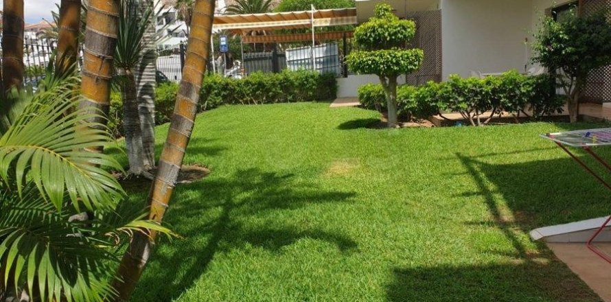 Huoneisto Los Cristianos, Tenerife, Espanja 1 makuuhuone, 48 m2 No. 194471