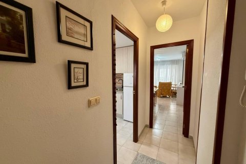 Lägenhet till salu i Torrevieja, Alicante, Spanien 2 sovrum, 74 kvm. Nr. 183025 - foto 23