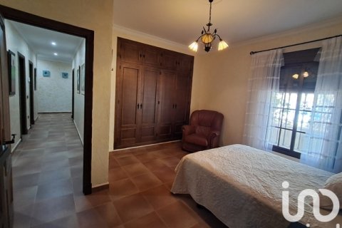 Talo myytävänä Arcos de la Frontera, Cadiz, Espanja, 5 makuuhuonetta, 239 m2 No. 153090 - kuva 11