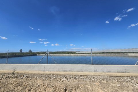 Terreno a Rojales, Alicante, Spagna N° 183616