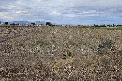 Terreno a Dolores, Alicante, Spagna N° 183613