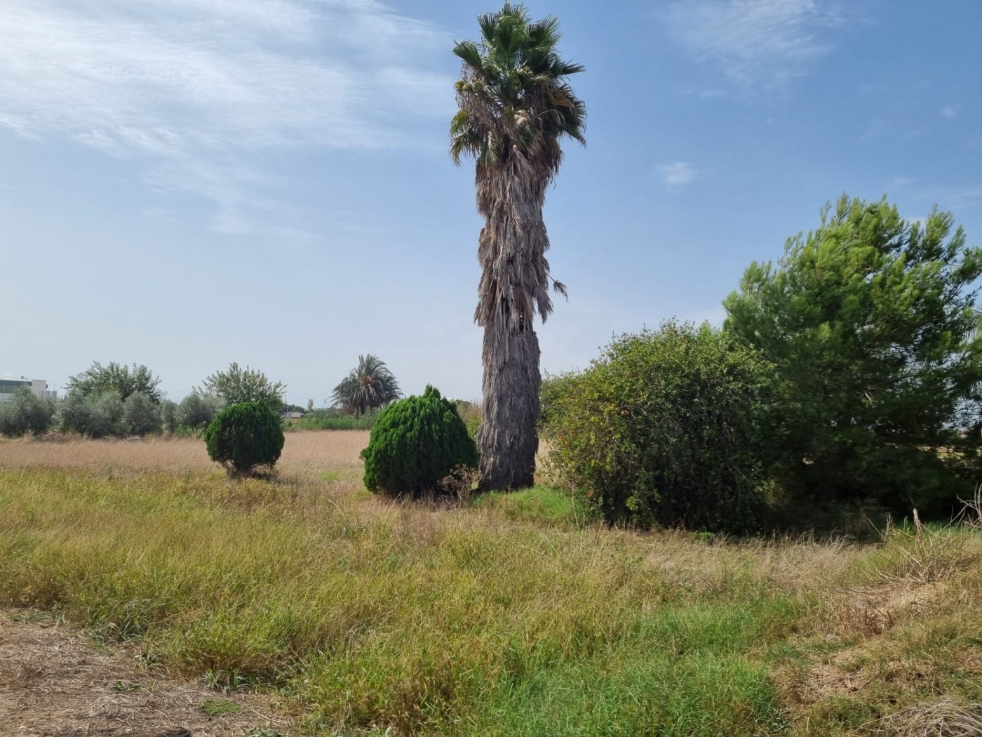 Talo Dolores, Alicante, Espanja 200 m2 No. 183611