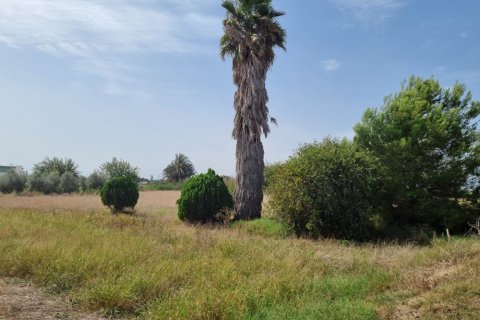 House for sale in Dolores, Alicante, Spain 200 sq.m. No. 183611 - photo 3