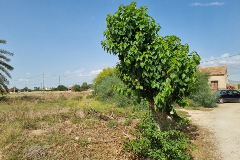Дом в Долорес, Аликанте, Испания 200м2 №183611