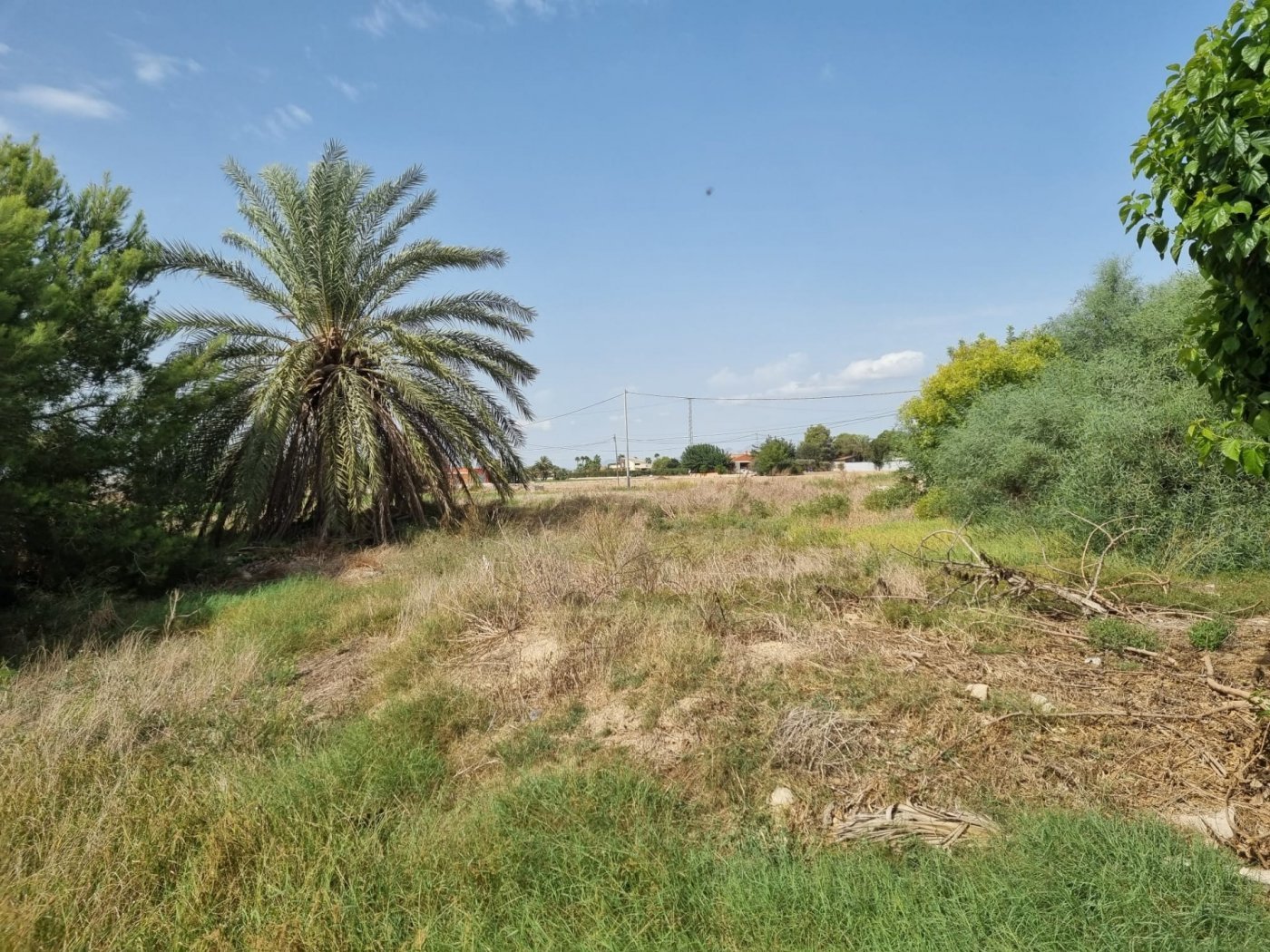 Talo Dolores, Alicante, Espanja 200 m2 No. 183611