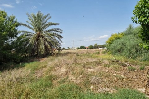 House for sale in Dolores, Alicante, Spain 200 sq.m. No. 183611 - photo 2