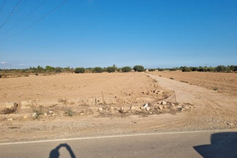 Terreno a Crevillent, Alicante, Spagna N° 183612