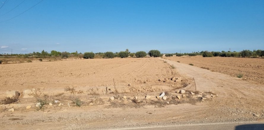 Land plot in Crevillent, Alicante, Spain No. 183612