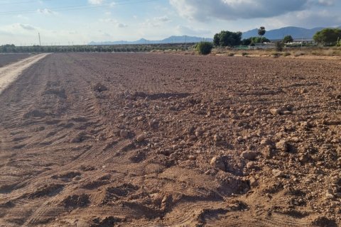 Land plot for sale in Crevillent, Alicante, Spain No. 183612 - photo 2