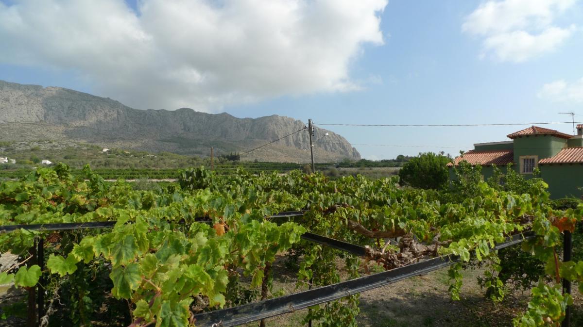 Villa in Beniarbeig, Alicante, Spain 4 bedrooms,  No. 149177
