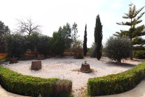 Finca à vendre Daya Vieja, Alicante, Espagne, 3 chambres, 138 m2 No. 116008 - photo 25