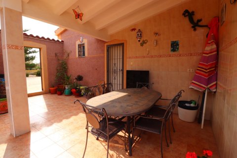 Finca à vendre Daya Vieja, Alicante, Espagne, 3 chambres, 138 m2 No. 116008 - photo 22