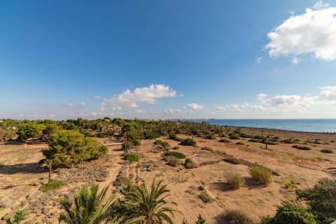 Apartamento en venta en Punta Prima, Alicante, España 2 dormitorios, 68 m2 No. 145417 - foto 13