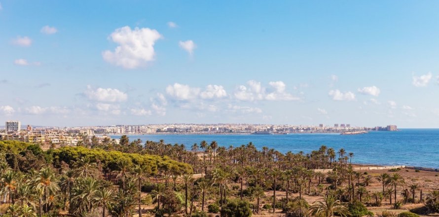 Apartamento en Punta Prima, Alicante, España 2 dormitorios, 68 m2 No. 145417