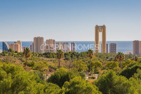 Kattohuoneisto myytävänä Benidorm, Alicante, Espanja, 2 makuuhuonetta, 168 m2 No. 107759 - kuva 28