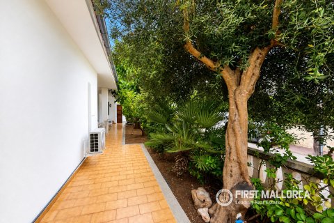 Villa zur Miete in Platja De Muro, Mallorca, Spanien 4 Schlafzimmer, 303 m2 Nr. 196135 - Foto 4