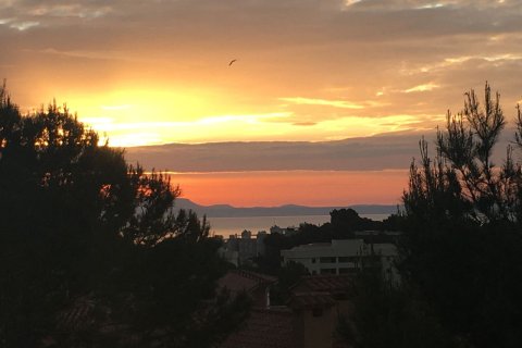 Villa zur Miete in Cala Vinyes, Mallorca, Spanien 4 Schlafzimmer, 234 m2 Nr. 196137 - Foto 26