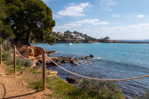 Lägenhet till salu i Portals Nous, Mallorca, Spanien 1 sovrum, 124 kvm. Nr. 161350 - foto 20