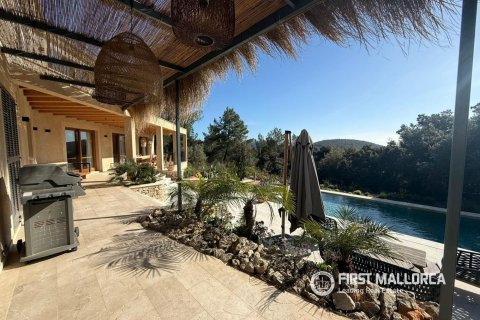 Villa for rent in Pollenca, Mallorca, Spain 3 bedrooms, 377 sq.m. No. 164441 - photo 26