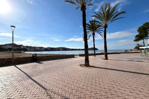 Wohnung zur Miete in Santa Ponsa, Mallorca, Spanien 1 Schlafzimmer, 65 m2 Nr. 147014 - Foto 17