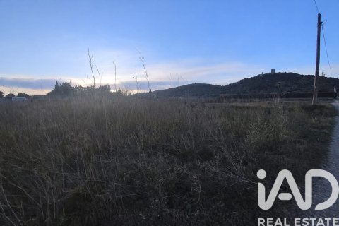 Продажа земельного участка в Ульдекона, Таррагона, Испания 1149м2 №188456 - фото 3
