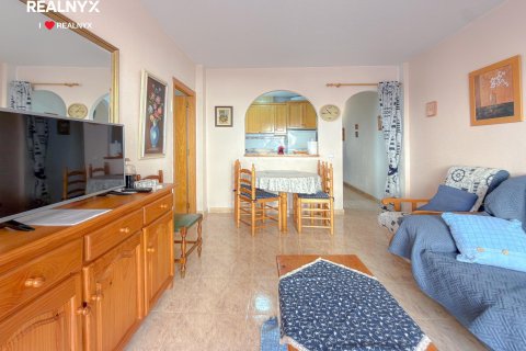 Huoneisto myytävänä Torrevieja, Alicante, Espanja, 2 makuuhuonetta, 63 m2 No. 194793 - kuva 13